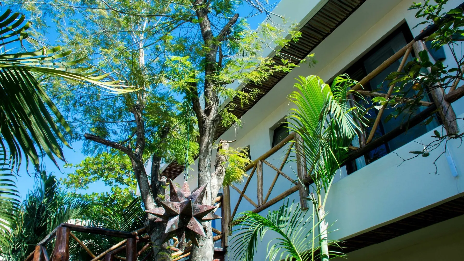 ****  Hotel Pacha Tulum México