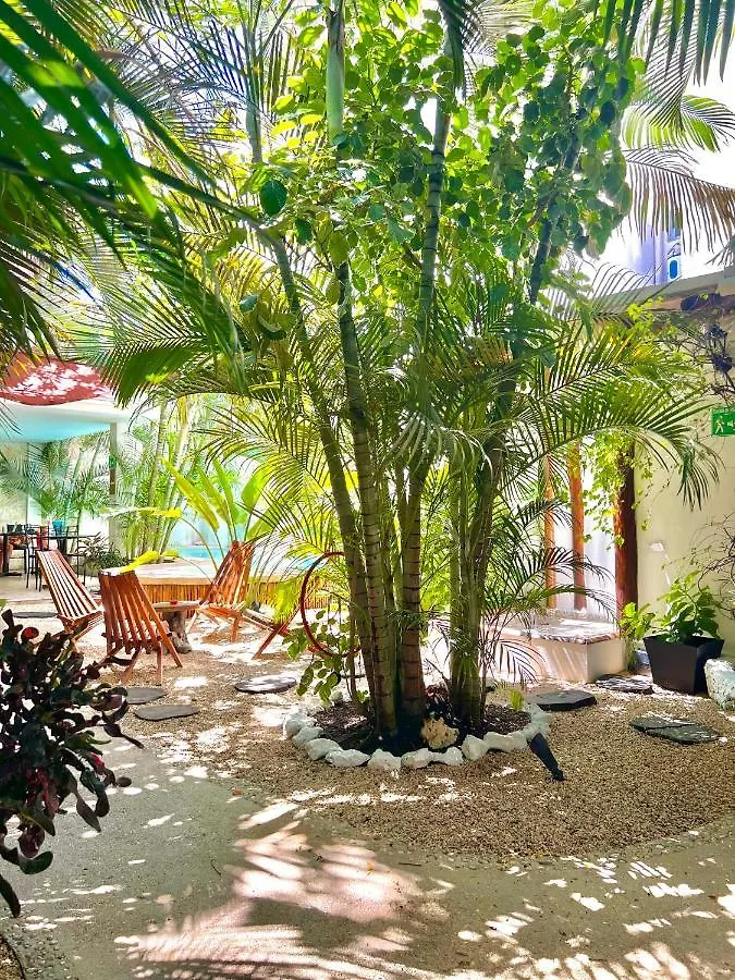 Pacha Tulum Boutique Hotel México