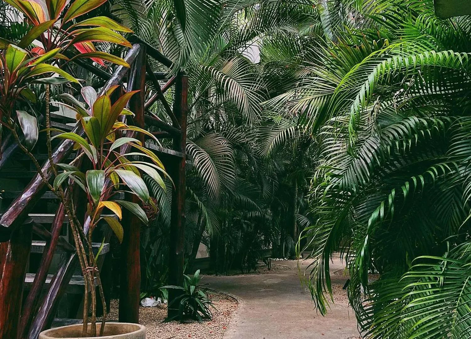 Pacha Tulum Boutique Hotel 4*,
