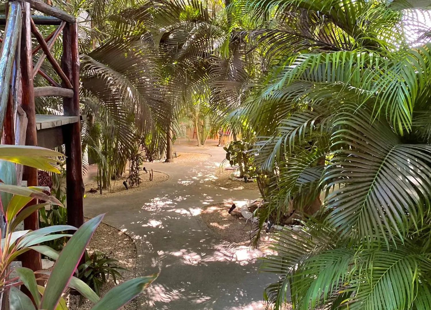 Pacha Tulum Boutique Hotel
