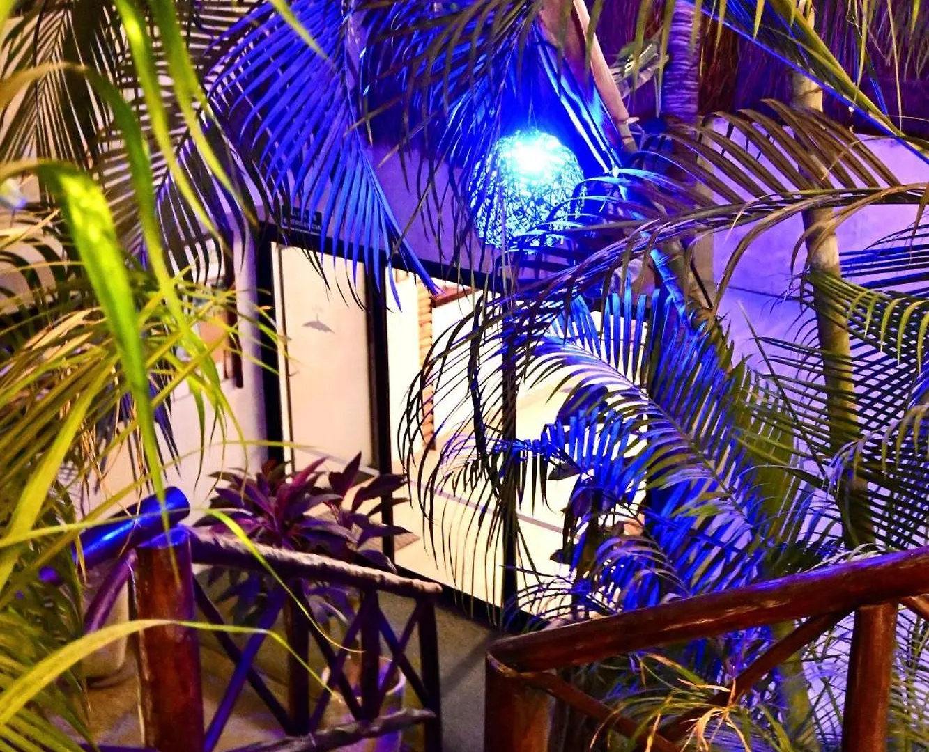 Pacha Tulum Boutique Hotel