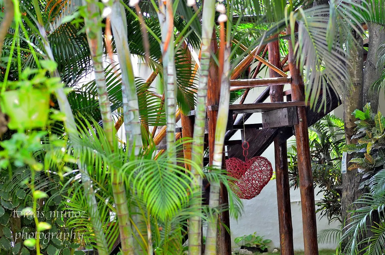 Pacha Tulum Boutique Hotel 4*,  México
